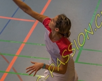 1BULLMINTON - 0612